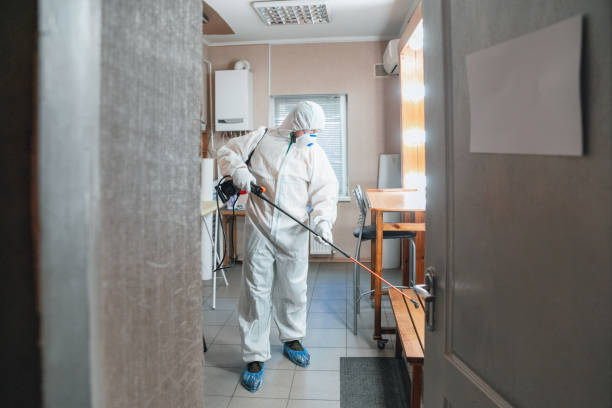 Why You Should Choose Our Mold Remediation Services in Robinwood, MD